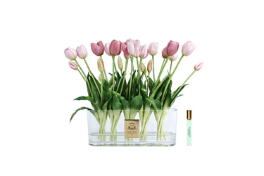 Oval Tulips - Pink - OT02 (Carton of 1)